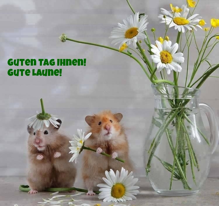 Guten Tag Ihnen! Gute Laune!