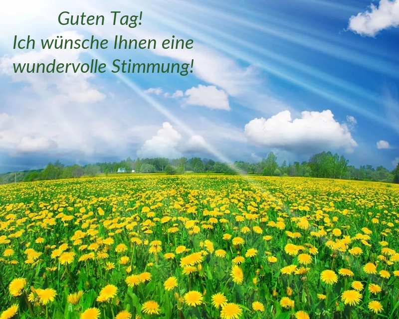 Guten Tag! Ich wünsche Ihnen eine wundervolle Stimmung!