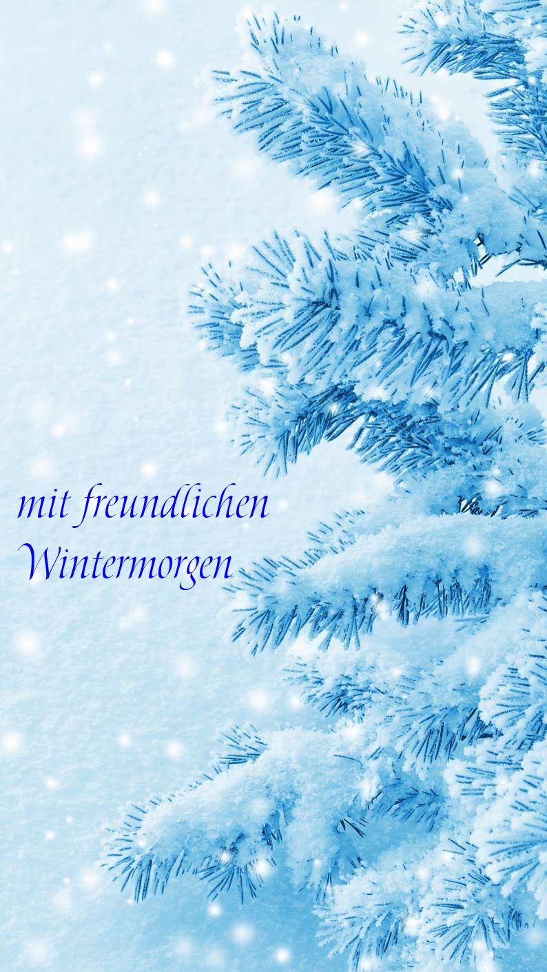 mit freundlichen Wintermorgen