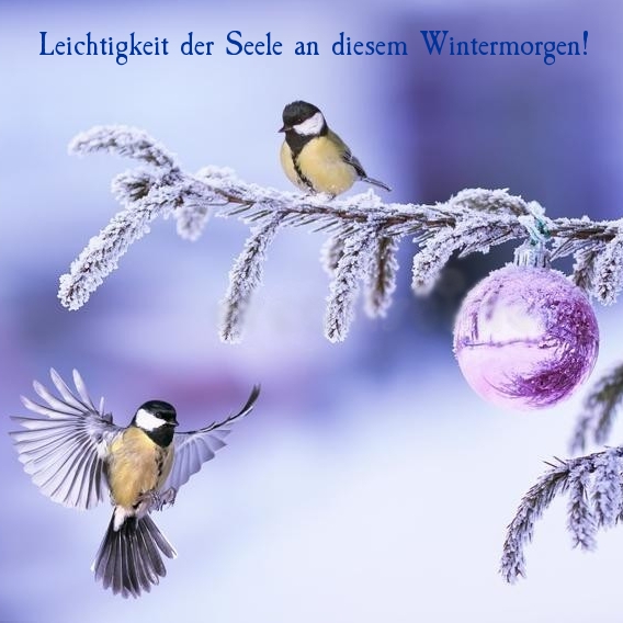 Leichtigkeit der Seele an diesem Wintermorgen!