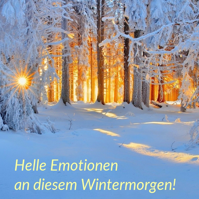 Helle Emotionen an diesem Wintermorgen!