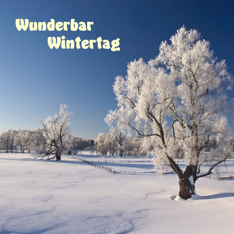 Wunderbar Wintertag