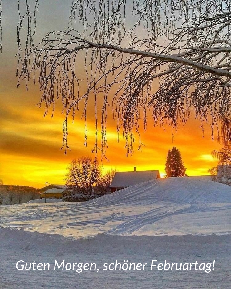 Guten Morgen, schöner Februartag!