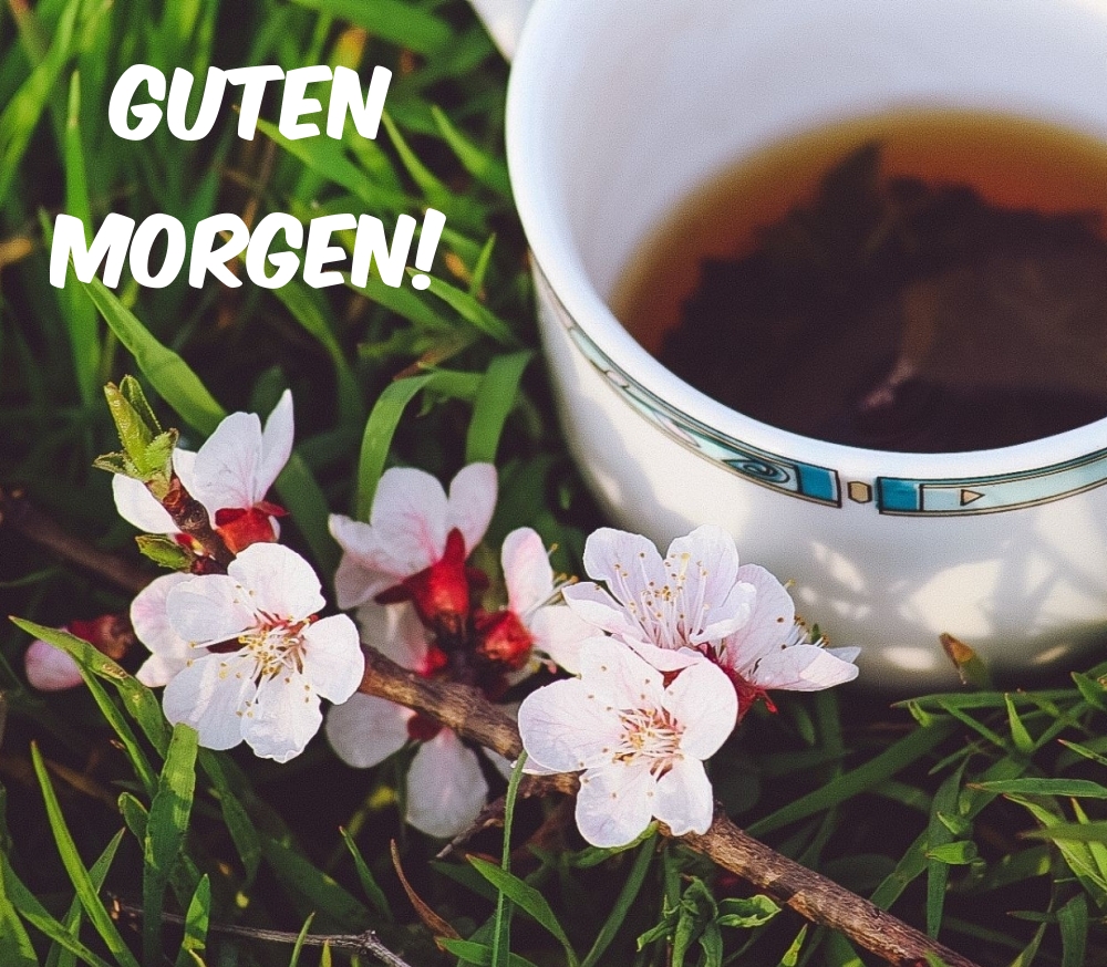 Guten Morgen!