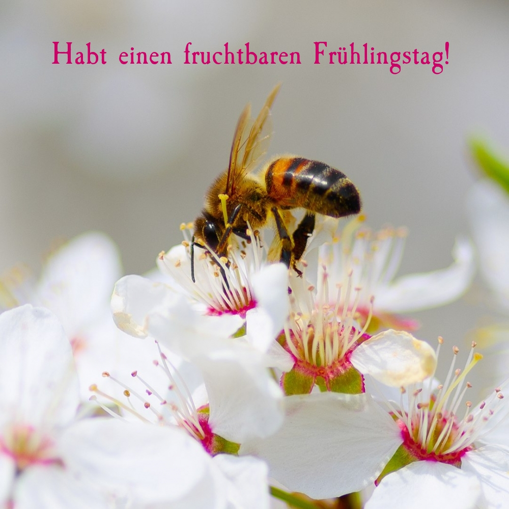 Habt einen fruchtbaren Frühlingstag!