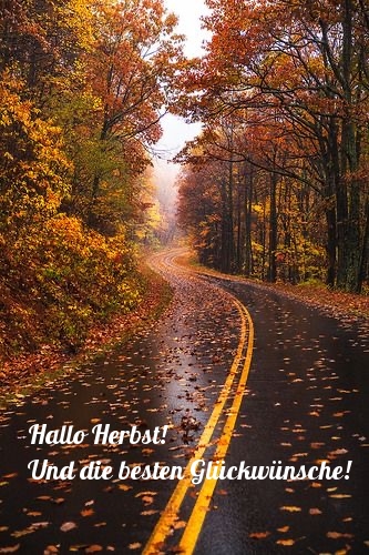 Hallo Herbst! Und die besten Glückwünsche!
