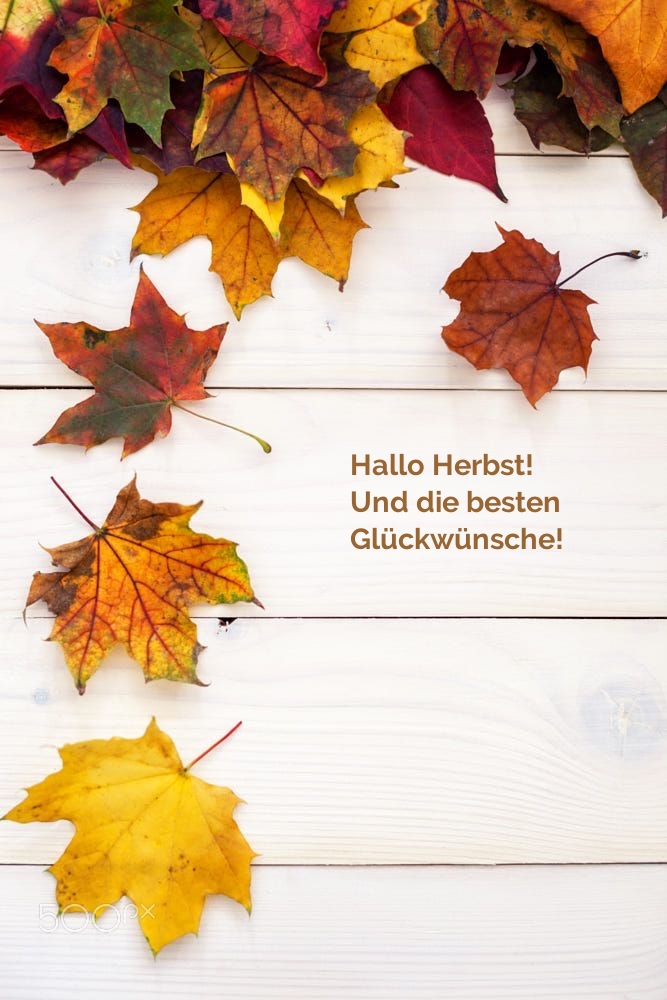 Hallo Herbst! Und die besten Glückwünsche!