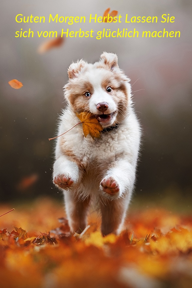 Guten Morgen Herbst Lassen Sie sich vom Herbst glücklich machen