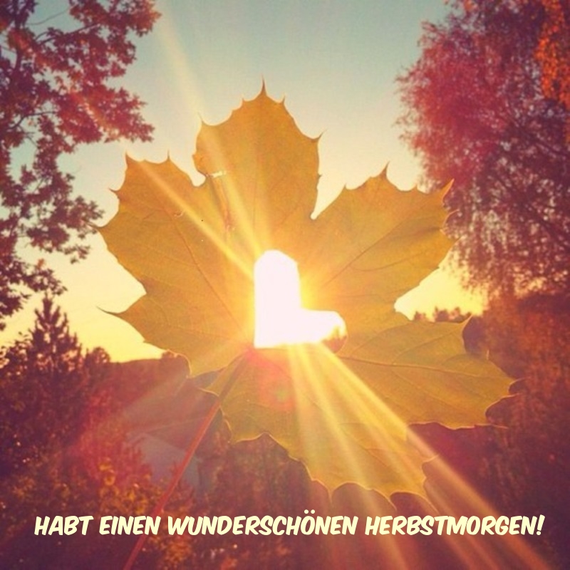 Habt einen wunderschönen Herbstmorgen!