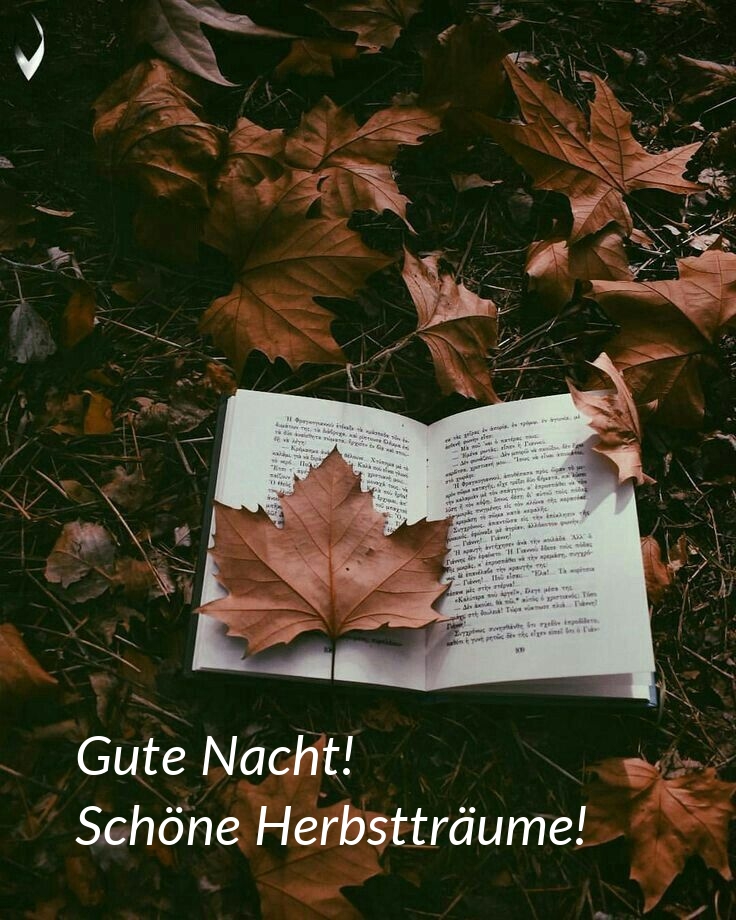 Gute Nacht! Schöne Herbstträume!