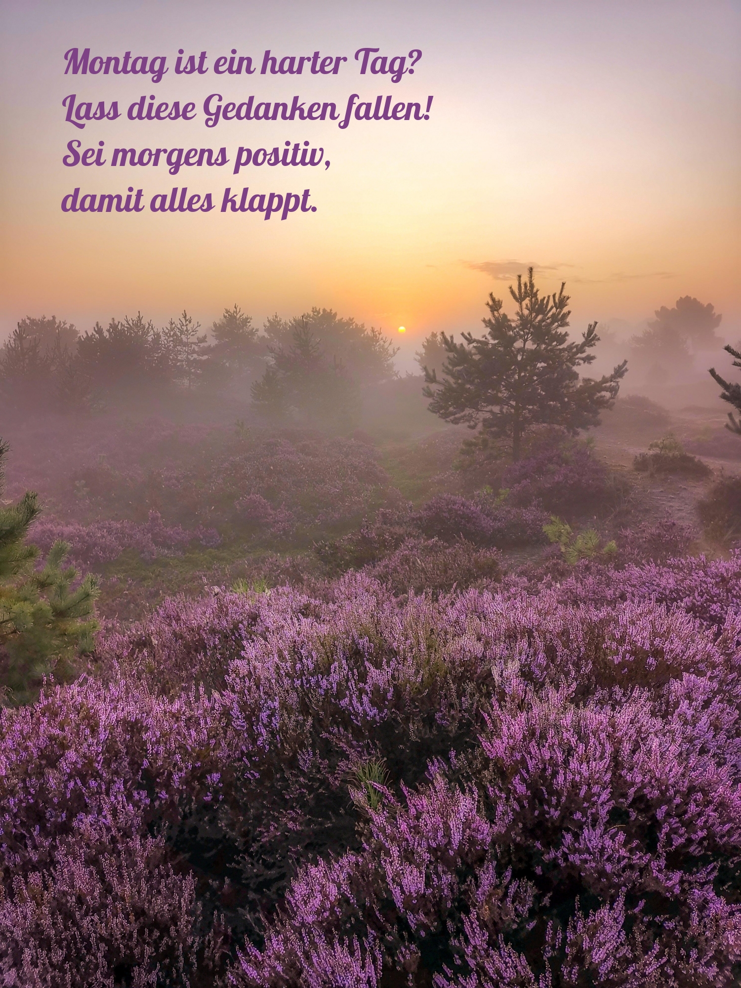 Montag ist ein harter Tag? Lass diese Gedanken fallen!