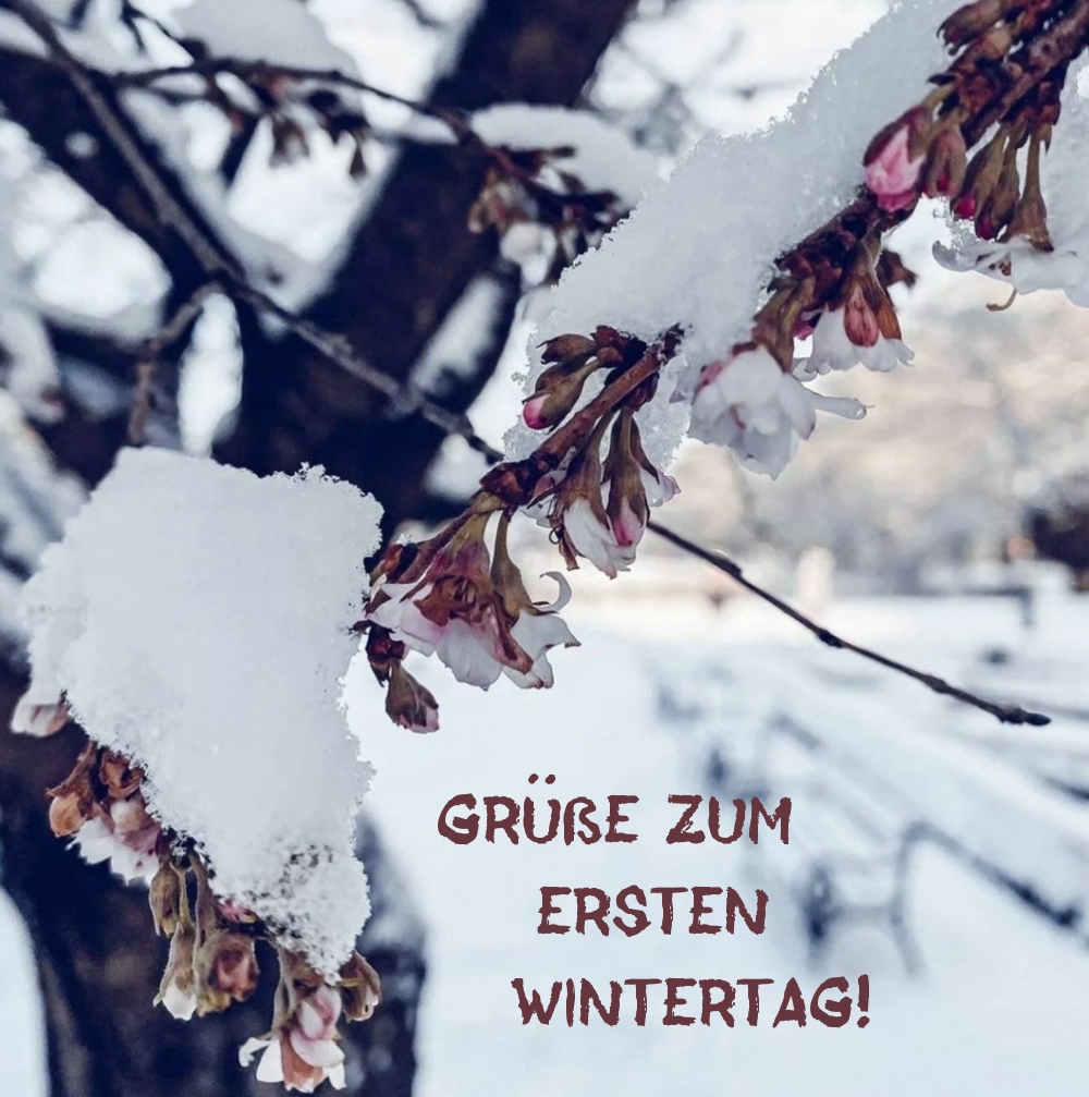 Grüße zum ersten Wintertag!