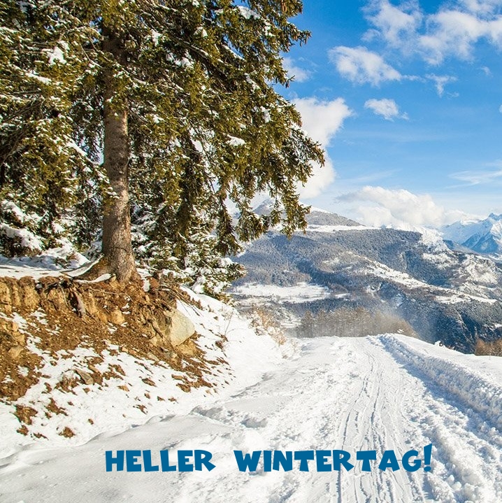 Heller Wintertag!